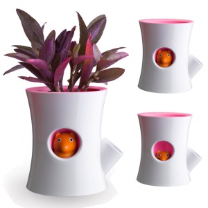 Фото самополивающихся ваз для растений