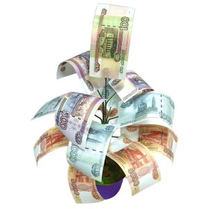 Фото денежного дерева