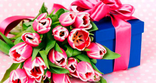 Фото тюльпанов и коробки с подарком